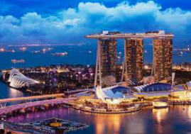 ledong网页版入口电脑免费版